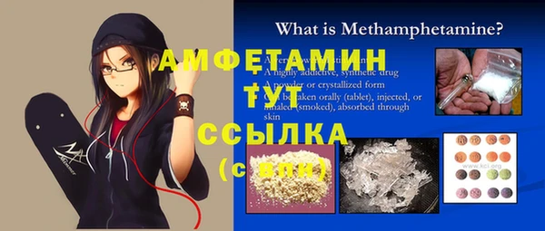 гидра Бородино