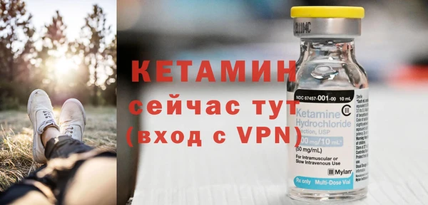шишки Богородицк