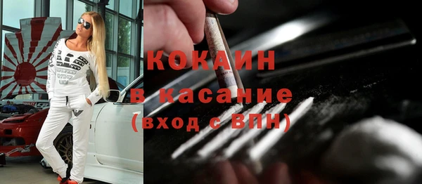 шишки Богородицк