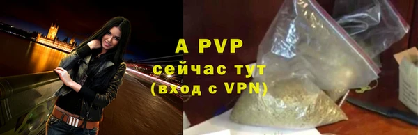 шишки Богородицк