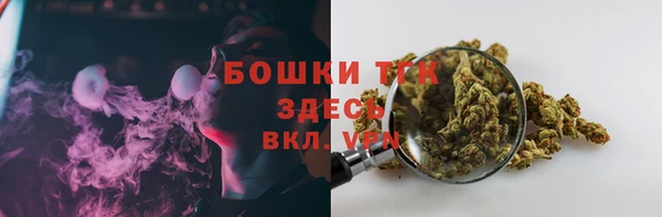 гидра Бугульма