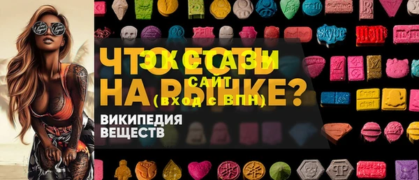 шишки Богородицк