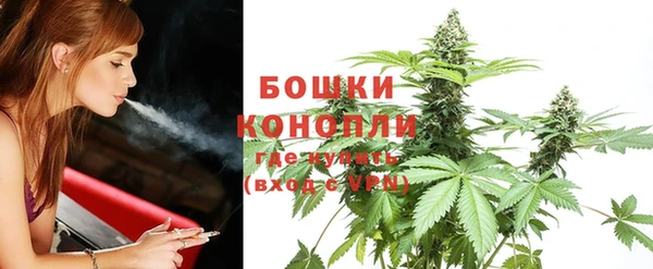 сатива Богданович