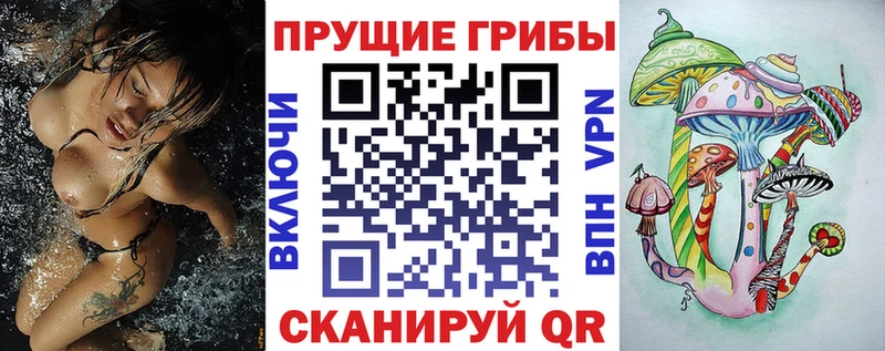 ссылка на мегу ТОР  Качканар  Галлюциногенные грибы ЛСД  даркнет сайт 